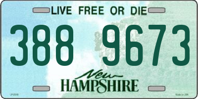 NH license plate 3889673