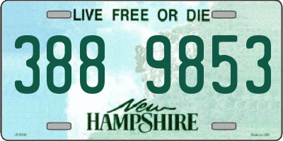 NH license plate 3889853