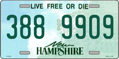 NH license plate 3889909
