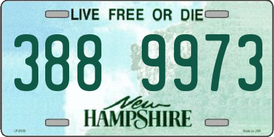 NH license plate 3889973