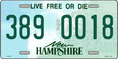 NH license plate 3890018