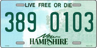 NH license plate 3890103