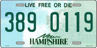 NH license plate 3890119