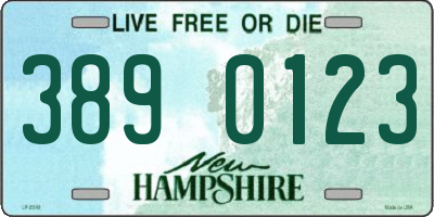 NH license plate 3890123