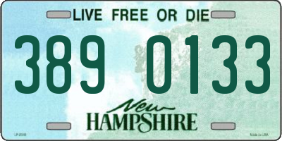 NH license plate 3890133