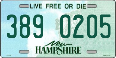 NH license plate 3890205