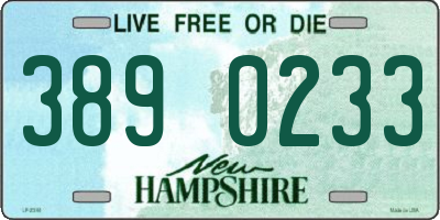 NH license plate 3890233