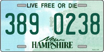 NH license plate 3890238