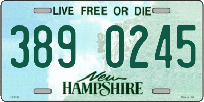 NH license plate 3890245