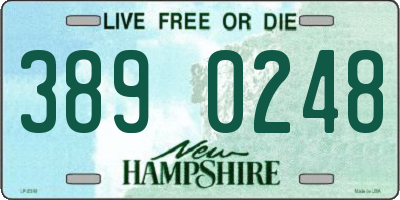 NH license plate 3890248