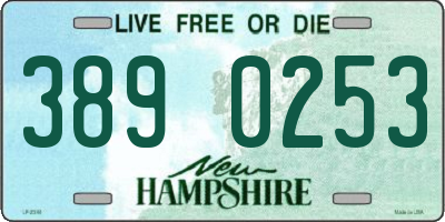 NH license plate 3890253