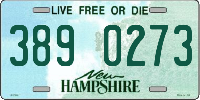 NH license plate 3890273