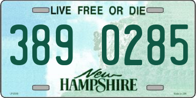 NH license plate 3890285
