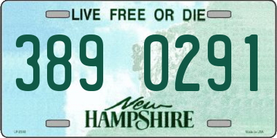 NH license plate 3890291