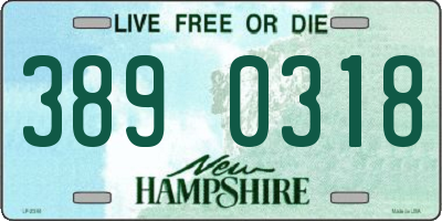NH license plate 3890318
