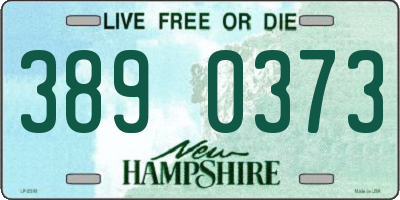 NH license plate 3890373