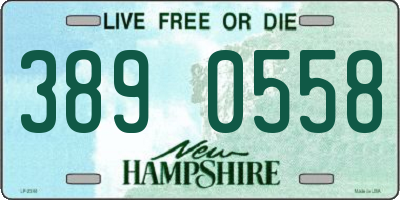 NH license plate 3890558