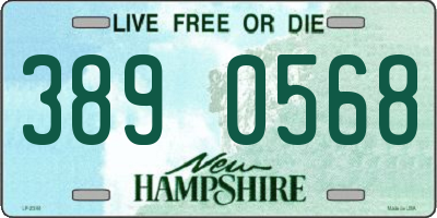 NH license plate 3890568