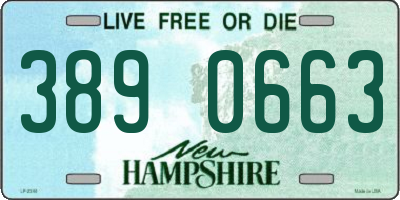 NH license plate 3890663