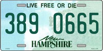 NH license plate 3890665