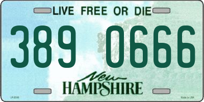 NH license plate 3890666