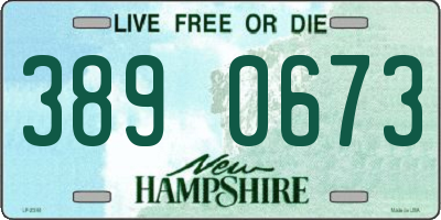 NH license plate 3890673