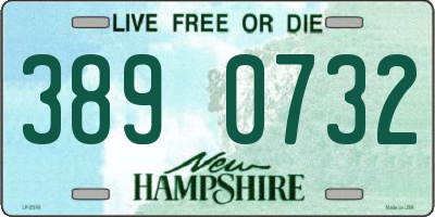 NH license plate 3890732