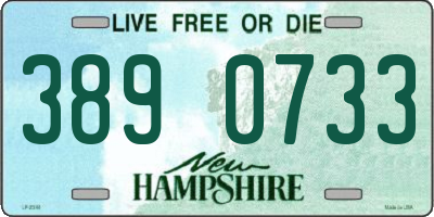 NH license plate 3890733