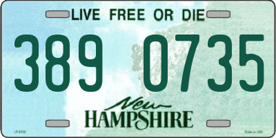 NH license plate 3890735