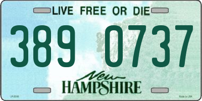 NH license plate 3890737