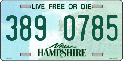 NH license plate 3890785