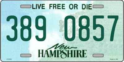 NH license plate 3890857