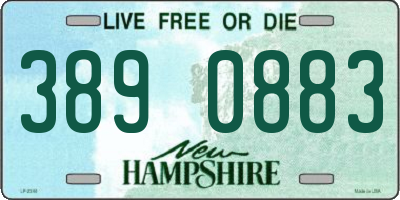 NH license plate 3890883