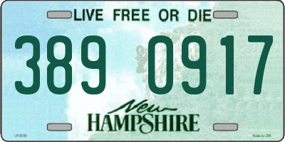 NH license plate 3890917