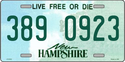 NH license plate 3890923