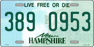 NH license plate 3890953