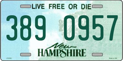 NH license plate 3890957