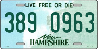 NH license plate 3890963
