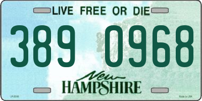 NH license plate 3890968