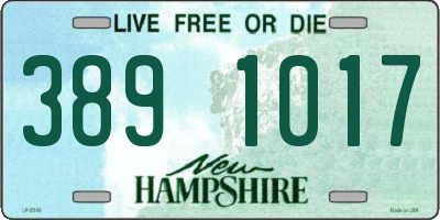 NH license plate 3891017