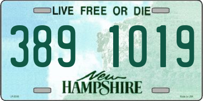 NH license plate 3891019