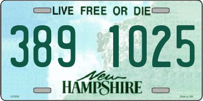 NH license plate 3891025