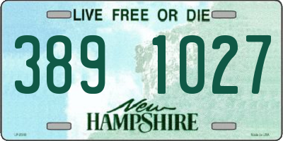 NH license plate 3891027