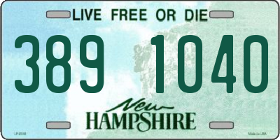 NH license plate 3891040