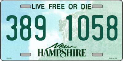 NH license plate 3891058