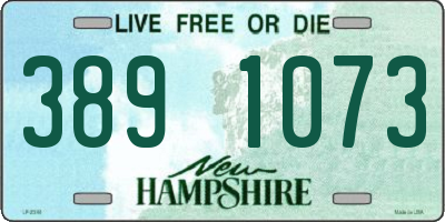 NH license plate 3891073
