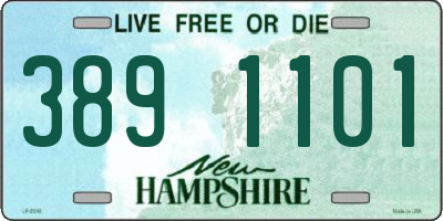 NH license plate 3891101