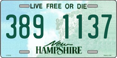 NH license plate 3891137