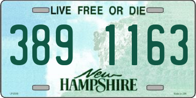 NH license plate 3891163