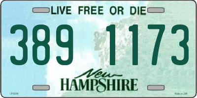 NH license plate 3891173